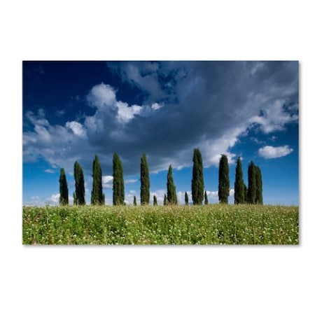 Michael Blanchette Photography 'Cypress Hill Clouds' Canvas Art,16x24